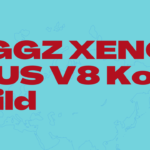 DIGGZ XENON PLUS V8 Kodi Build on Kodi v21.1 Omega