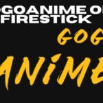 GoGoAnime on Firestick