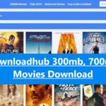 Downloadhub