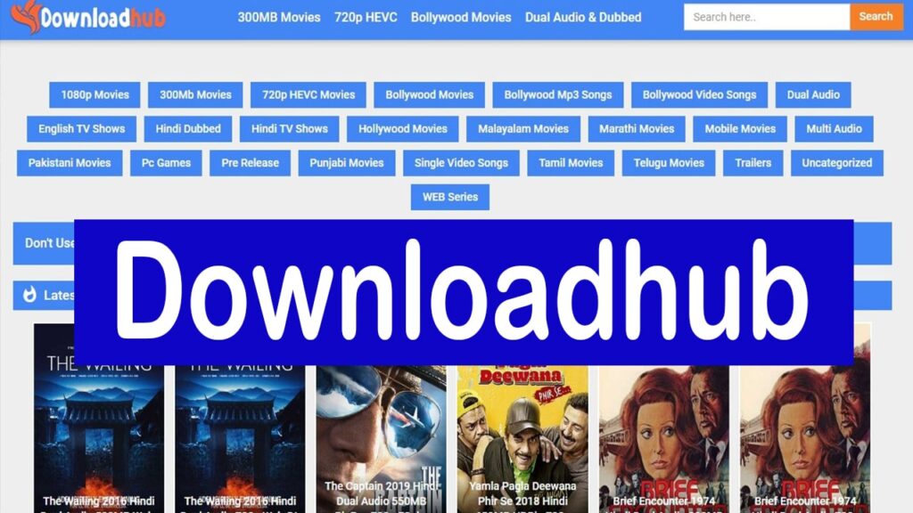 Downloadhub review