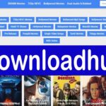 Downloadhub review