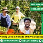 Fruit Picking Jobs in Canada