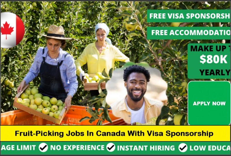 Fruit Picking Jobs in Canada